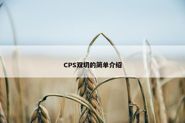 CPS双切的简单介绍