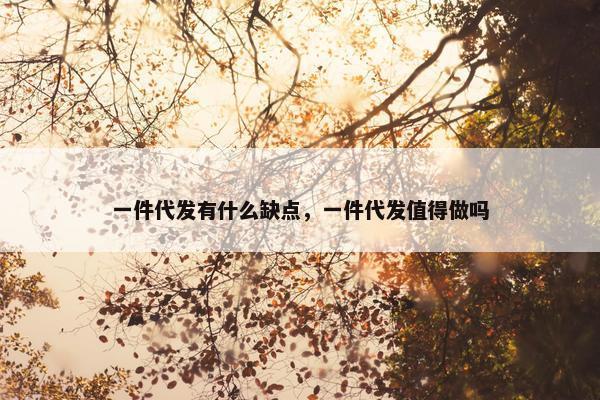 一件代发有什么缺点，一件代发值得做吗
