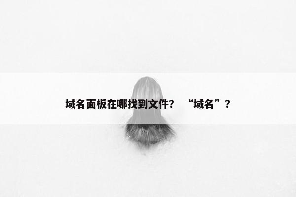 域名面板在哪找到文件？ “域名”？