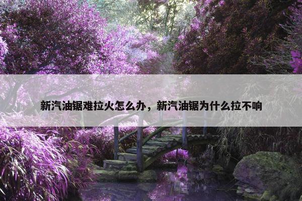 新汽油锯难拉火怎么办，新汽油锯为什么拉不响