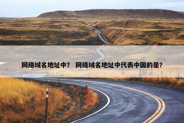 网络域名地址中？ 网络域名地址中代表中国的是？