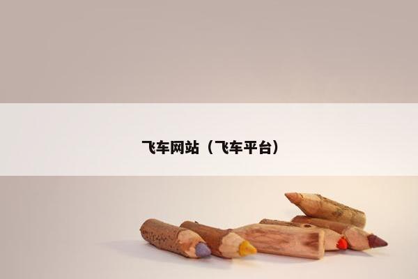 飞车网站（飞车平台）