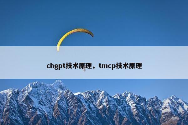 chgpt技术原理，tmcp技术原理