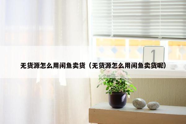 无货源怎么用闲鱼卖货（无货源怎么用闲鱼卖货呢）