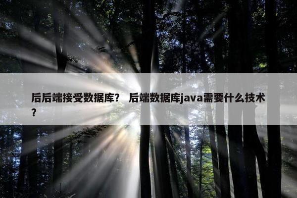 后后端接受数据库？ 后端数据库java需要什么技术？