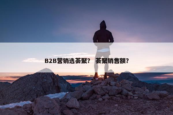 B2B营销选荟聚? 荟聚销售额?