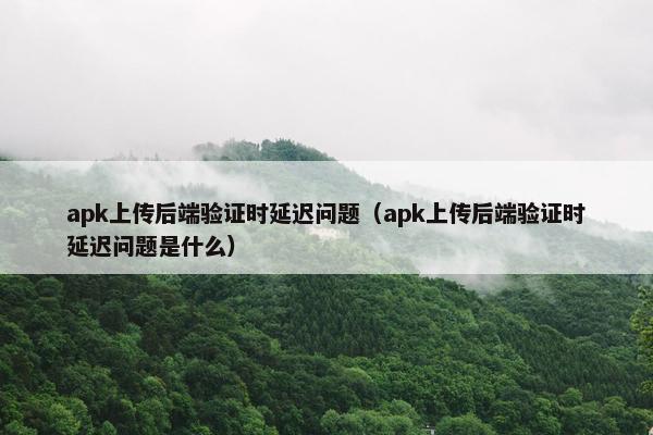 apk上传后端验证时延迟问题(apk上传后端验证时延迟问题是什么)