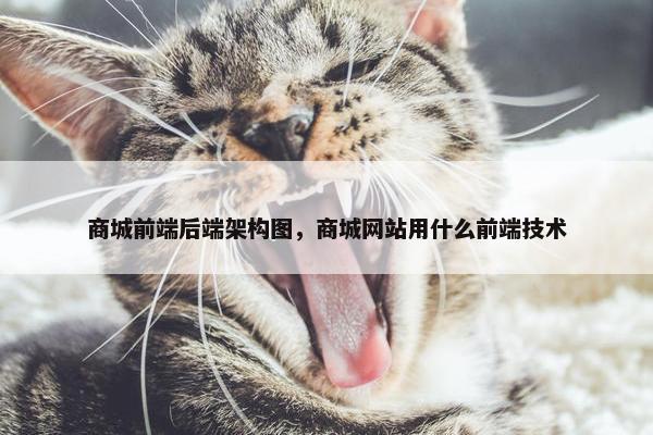 商城前端后端架构图,商城网站用什么前端技术
