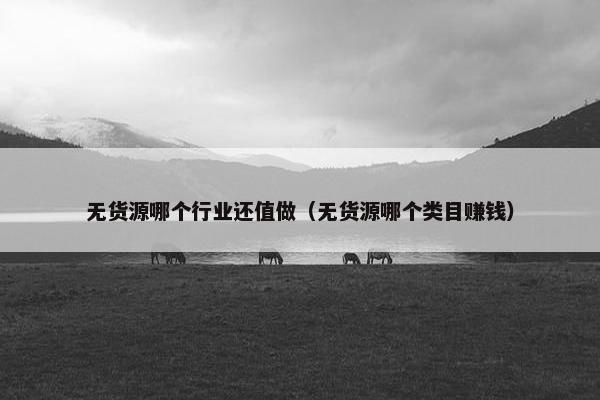 无货源哪个行业还值做(无货源哪个类目赚钱)
