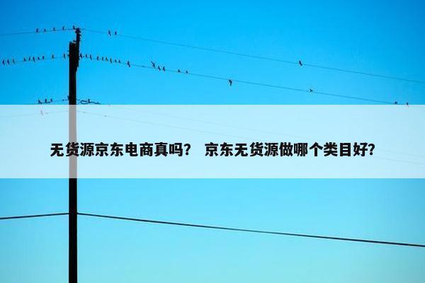 无货源京东电商真吗? 京东无货源做哪个类目好?