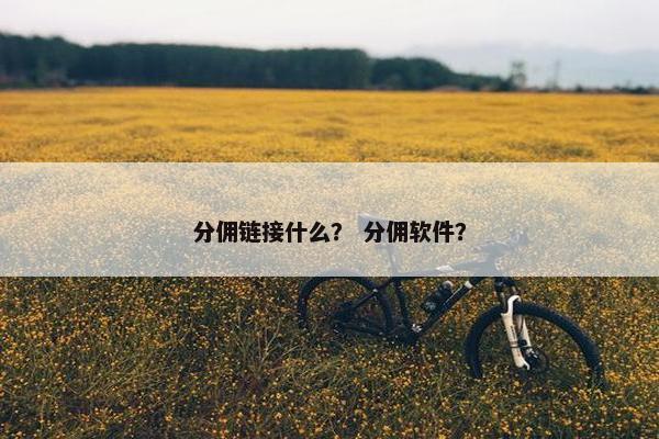 分佣链接什么? 分佣软件?