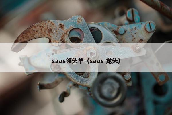 saas领头羊(saas 龙头)