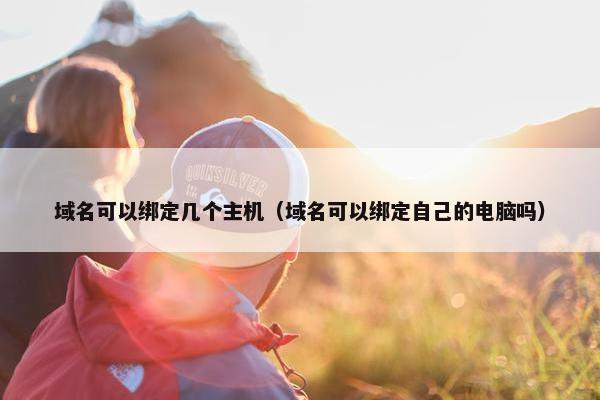 域名可以绑定几个主机(域名可以绑定自己的电脑吗)