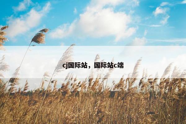 cj国际站,国际站c端
