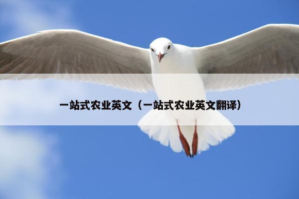 一站式农业英文(一站式农业英文翻译) 一站式农业英文(一站式农业英文翻译)