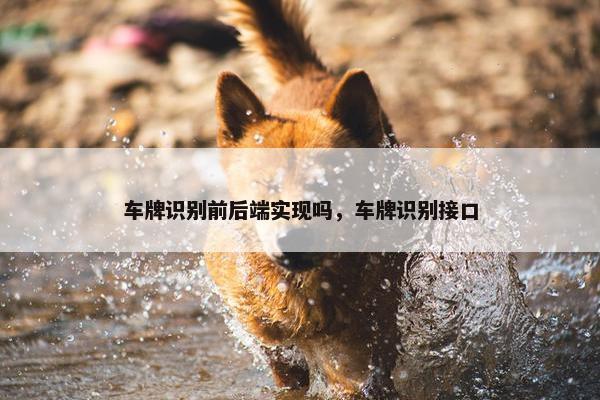 车牌识别前后端实现吗,车牌识别接口 车牌识别前后端实现吗,车牌识别接口