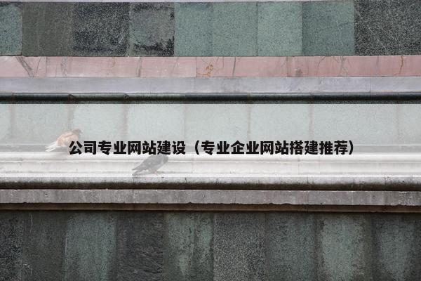 公司专业网站建设(专业企业网站搭建推荐)