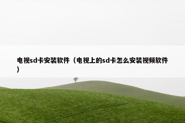 电视sd卡安装软件(电视上的sd卡怎么安装视频软件)