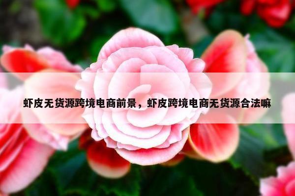 虾皮无货源跨境电商前景,虾皮跨境电商无货源合法嘛