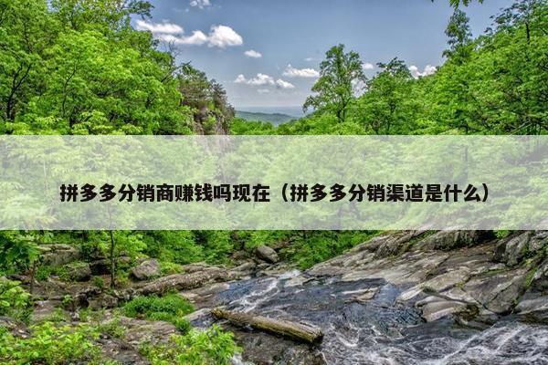 拼多多分销商赚钱吗现在(拼多多分销渠道是什么)