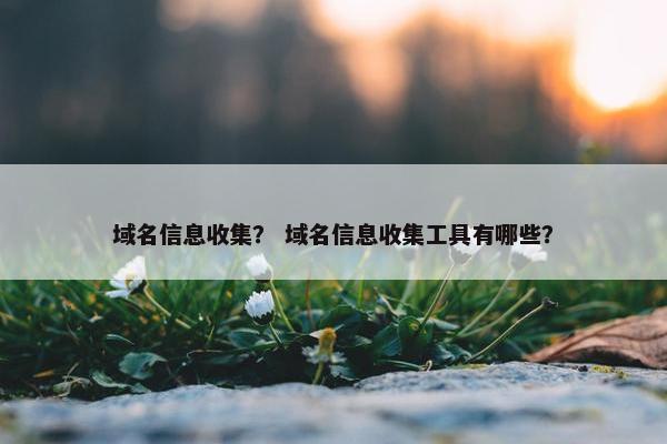 域名信息收集？ 域名信息收集工具有哪些？