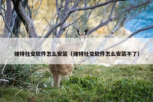 维特社交软件怎么安装(维特社交软件怎么安装不了) 维特社交软件怎么安装(维特社交软件怎么安装不了)