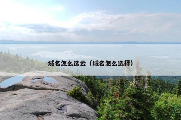 域名怎么选云(域名怎么选择)