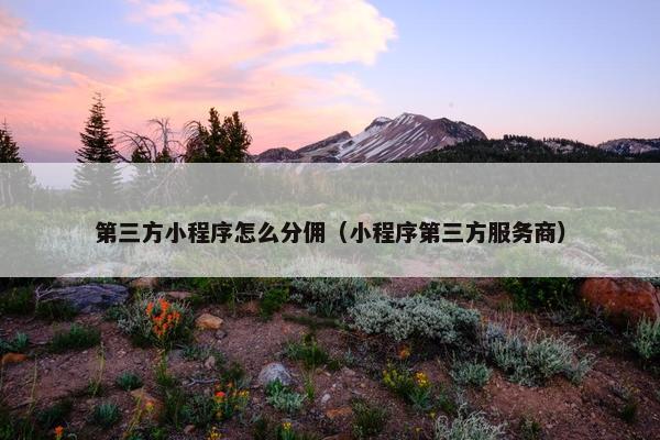 第三方小程序怎么分佣(小程序第三方服务商)