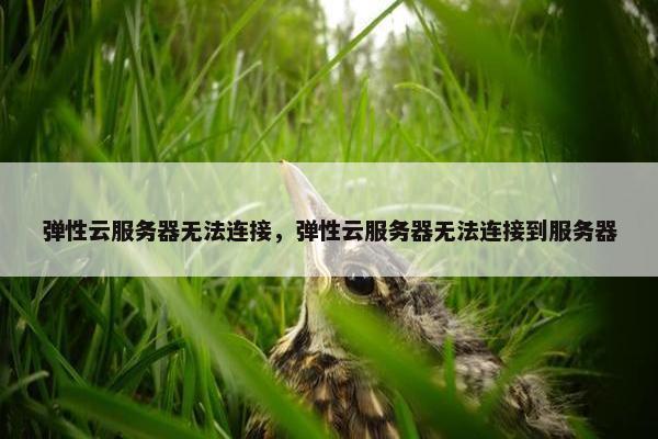 弹性云服务器无法连接,弹性云服务器无法连接到服务器