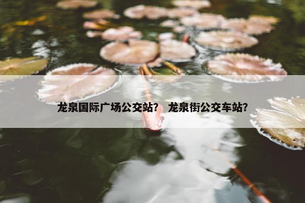 龙泉国际广场公交站? 龙泉街公交车站? 龙泉国际广场公交站? 龙泉街公交车站?