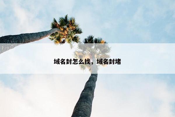 域名封怎么找,域名封堵