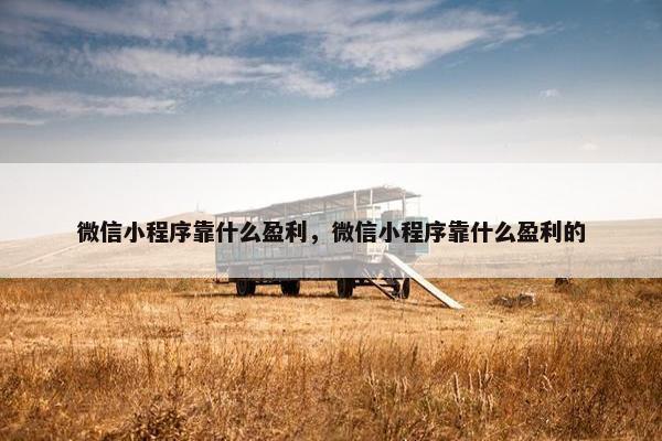 微信小程序靠什么盈利,微信小程序靠什么盈利的