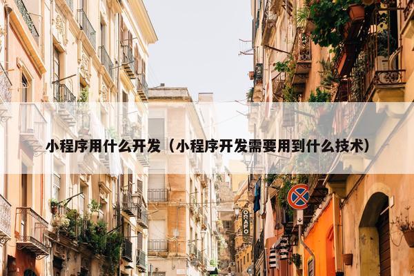 小程序用什么开发(小程序开发需要用到什么技术)