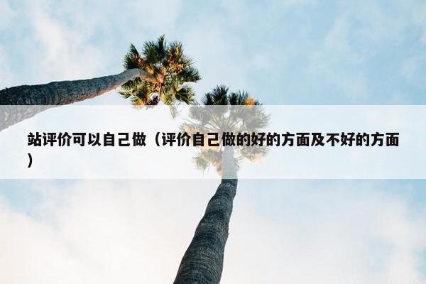 站评价可以自己做(评价自己做的好的方面及不好的方面)