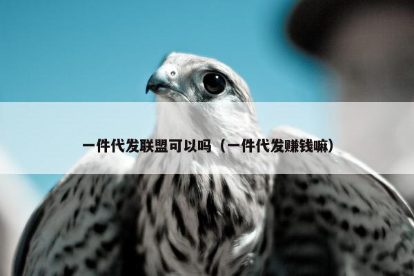 一件代发联盟可以吗(一件代发赚钱嘛) 一件代发联盟可以吗(一件代发赚钱嘛)