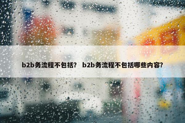b2b务流程不包括？ b2b务流程不包括哪些内容？