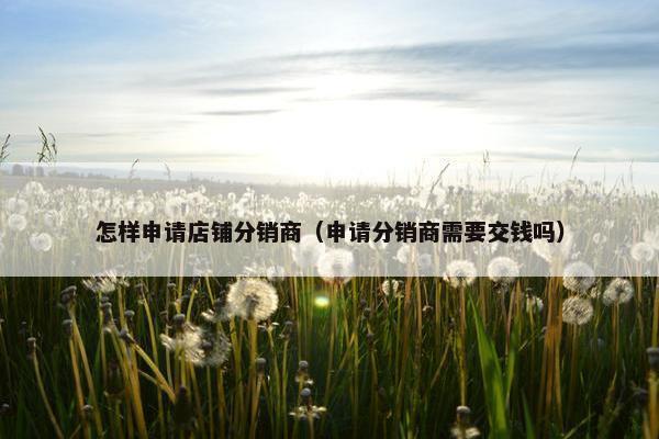怎样申请店铺分销商(申请分销商需要交钱吗)