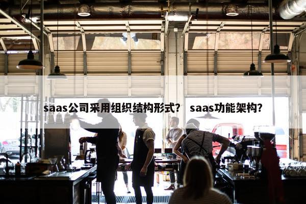 saas公司采用组织结构形式? saas功能架构?