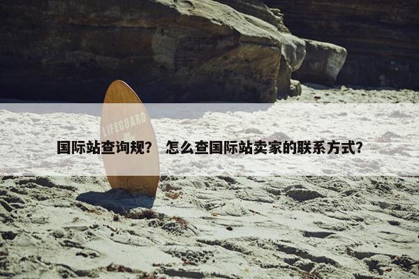 国际站查询规? 怎么查国际站卖家的联系方式?