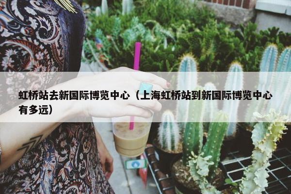 虹桥站去新国际博览中心(上海虹桥站到新国际博览中心有多远)