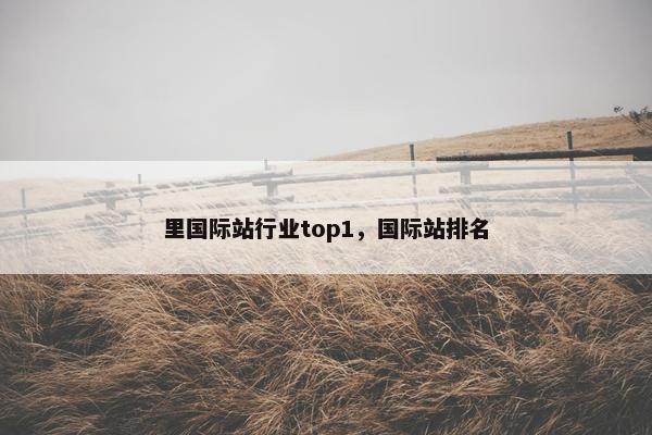 里国际站行业top1,国际站排名