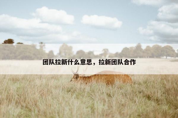 团队拉新什么意思,拉新团队合作