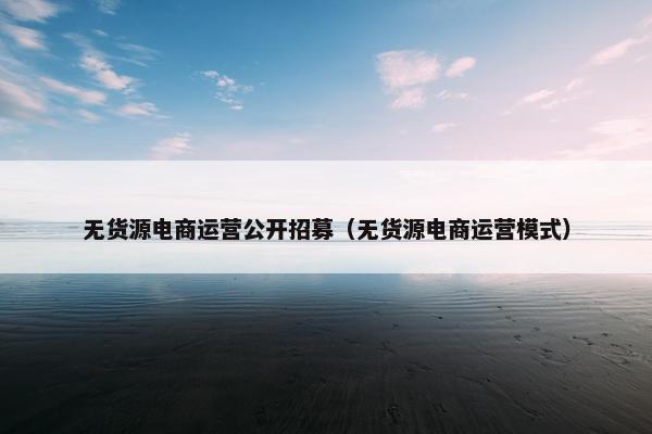 无货源电商运营公开招募(无货源电商运营模式)