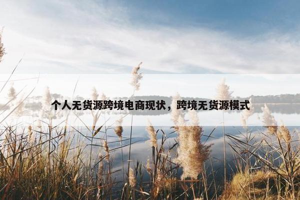 个人无货源跨境电商现状,跨境无货源模式