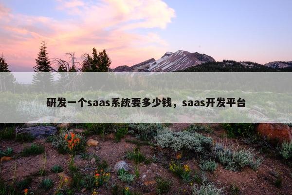 研发一个saas系统要多少钱,saas开发平台 研发一个saas系统要多少钱,saas开发平台