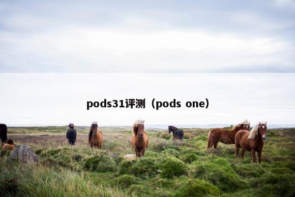pods31评测（pods one）