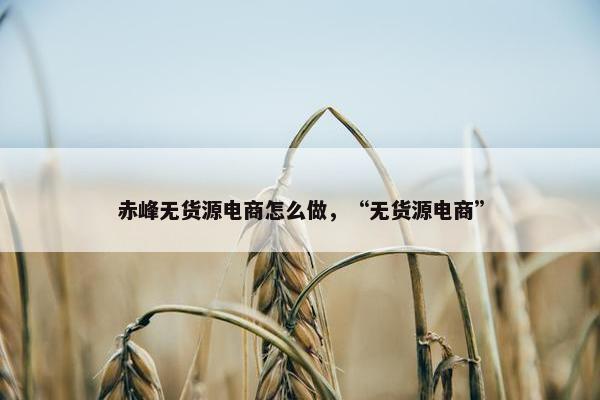 赤峰无货源电商怎么做,“无货源电商”