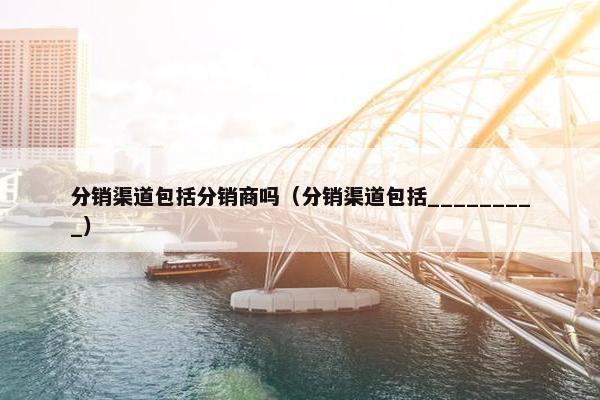 分销渠道包括分销商吗(分销渠道包括_________)