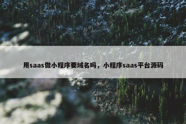 用saas做小程序要域名吗，小程序saas平台源码