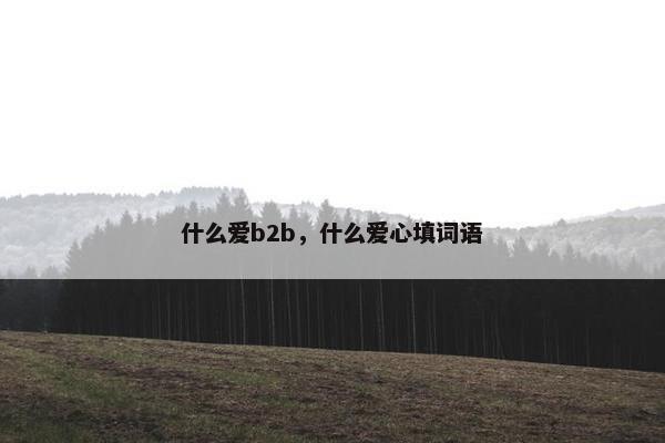 什么爱b2b,什么爱心填词语